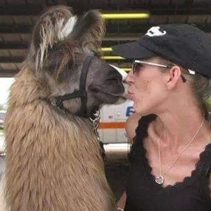 Meet your Posher, Shanta